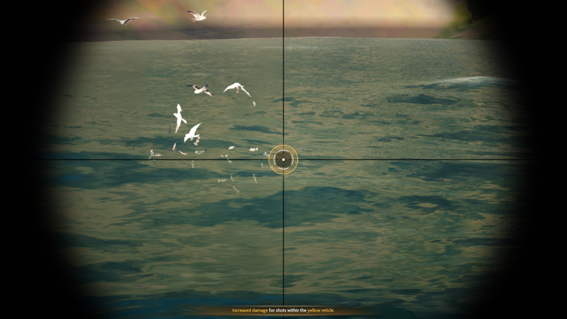 Seagull hotspot viewed through a Hunting Sniper Rifle scope