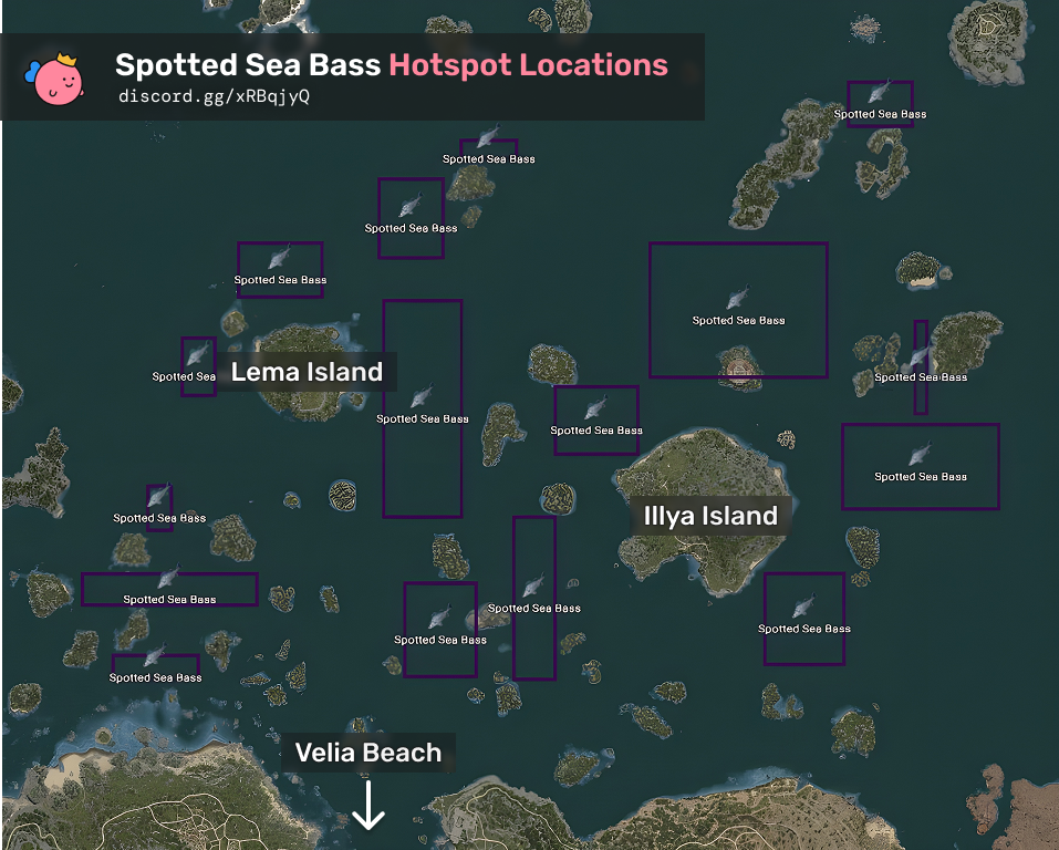 Spotted Sea Bass Hotspots