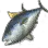 Tuna