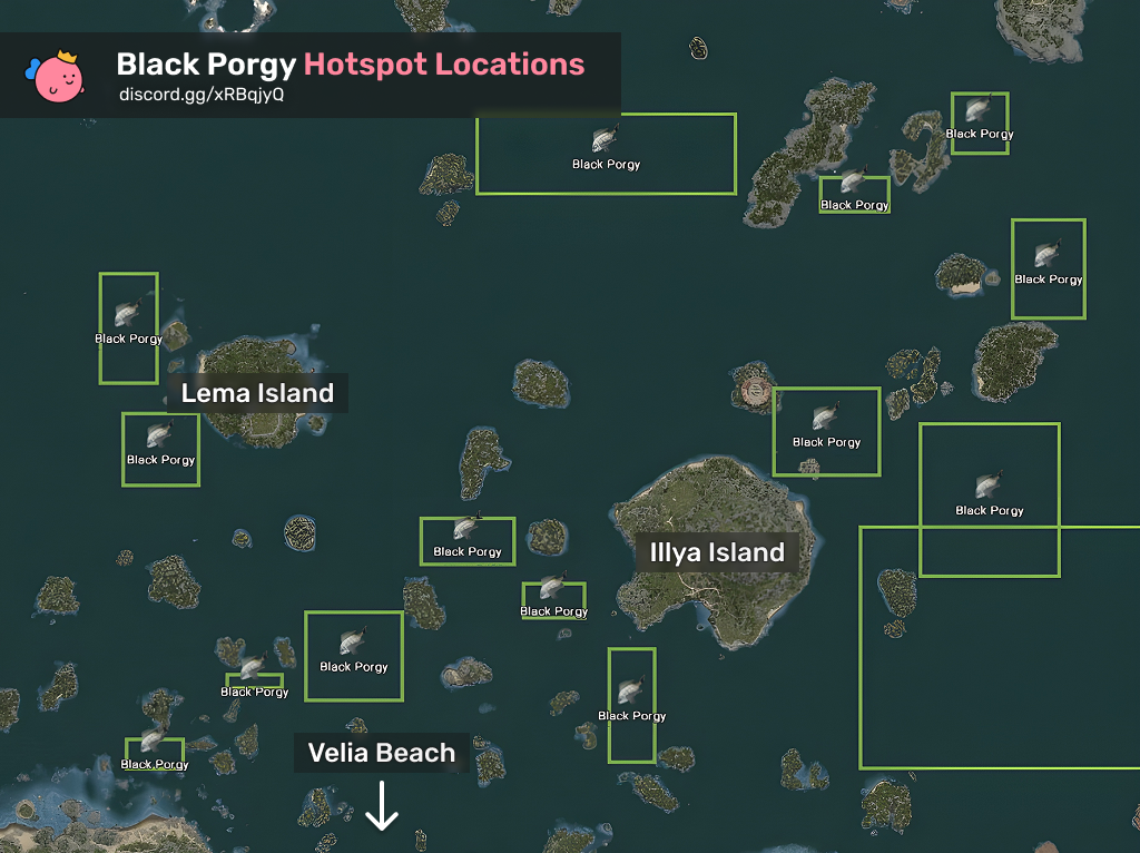 Black Porgy Hotspots