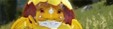 Newborn Golden Dragon pet